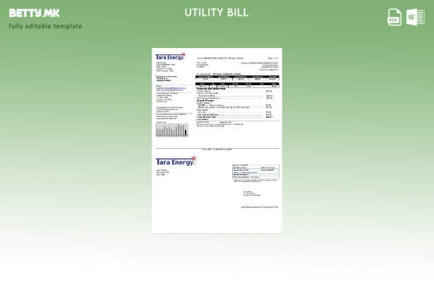 Модерен стил на САД Тексас Тара енергија шаблон сметки за комунални услуги